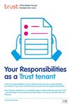 Your Responsibilities
